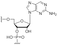Unit Structure: 2-aminopurine